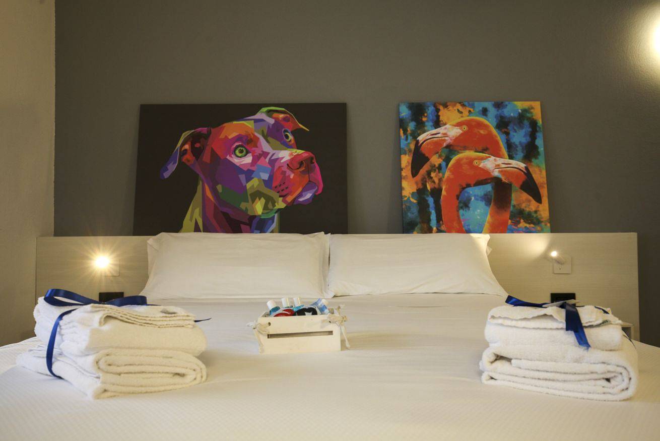 Ganze Wohnung, Le Tofane - Room Stella Alpina in Belluno, Schiaragruppe