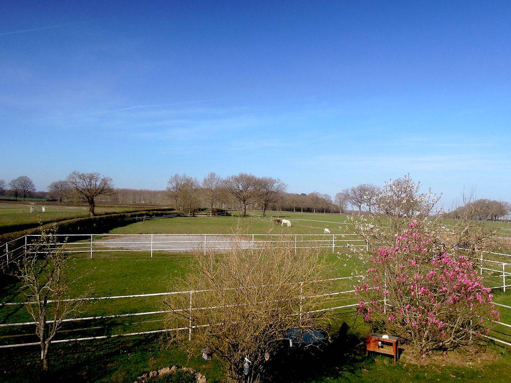 Les Verts Prés - La maisonnette in Reigny, Saint-Amand-Montrond