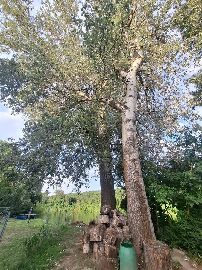 Camping für 3 Personen, mit Garten und Terrasse sowie Ausblick in Ungarn - 4