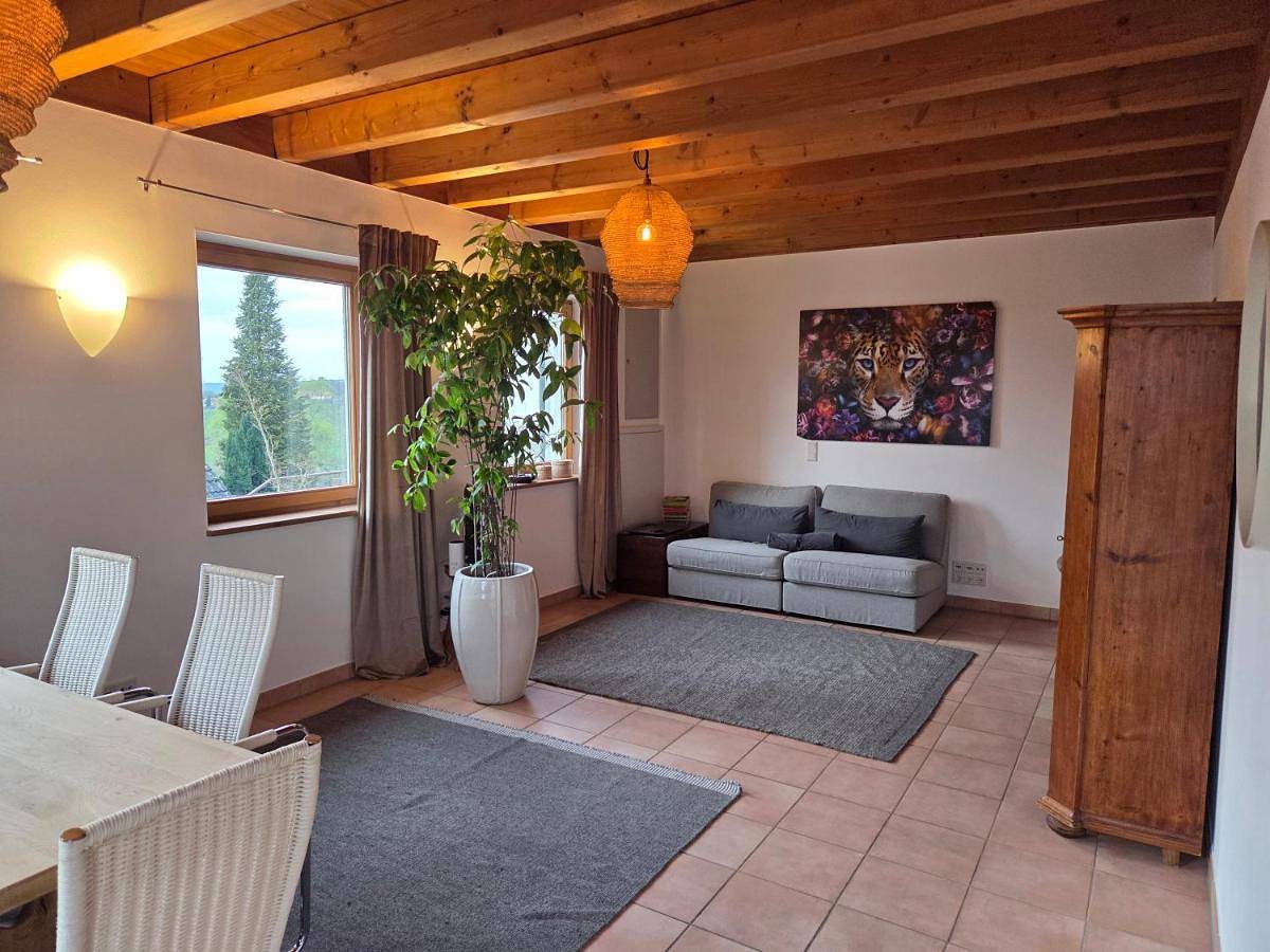 Appartement entier, Gemütliche Wohnung mit Terrasse mit tollem Fernblick in Alzenau, Spessart-Mainland