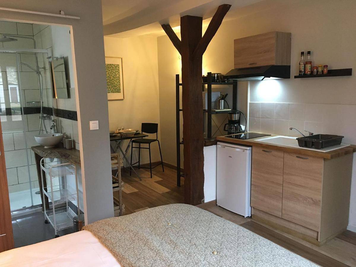 Appartement entier, Les Studios de l'Escale proche du Zoo de Beauval in Saint-Aignan, Région de Romorantin-Lanthenay