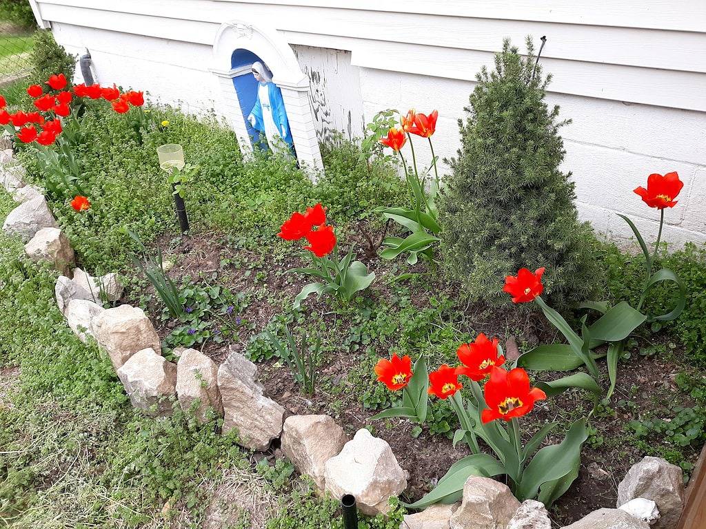 Gemütliches Studio Cottage auf \"The Hill\", alles zu Fuß erreichbar! Der Zoo, Park !! in St. Louis, Missouri