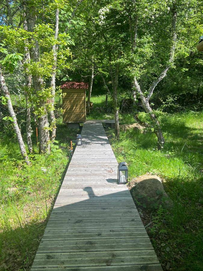 Tente pour 4 personnes, avec jardin et vue, animaux acceptés dans le Puy-de-Dôme - 3