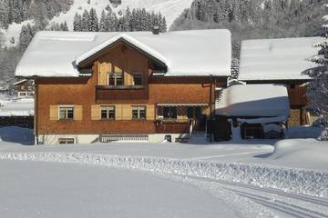 Vakantieappartement voor 3 Personen in Schoppernau, Allgäuer Alpen (Oostenrijk), Afbeelding 2