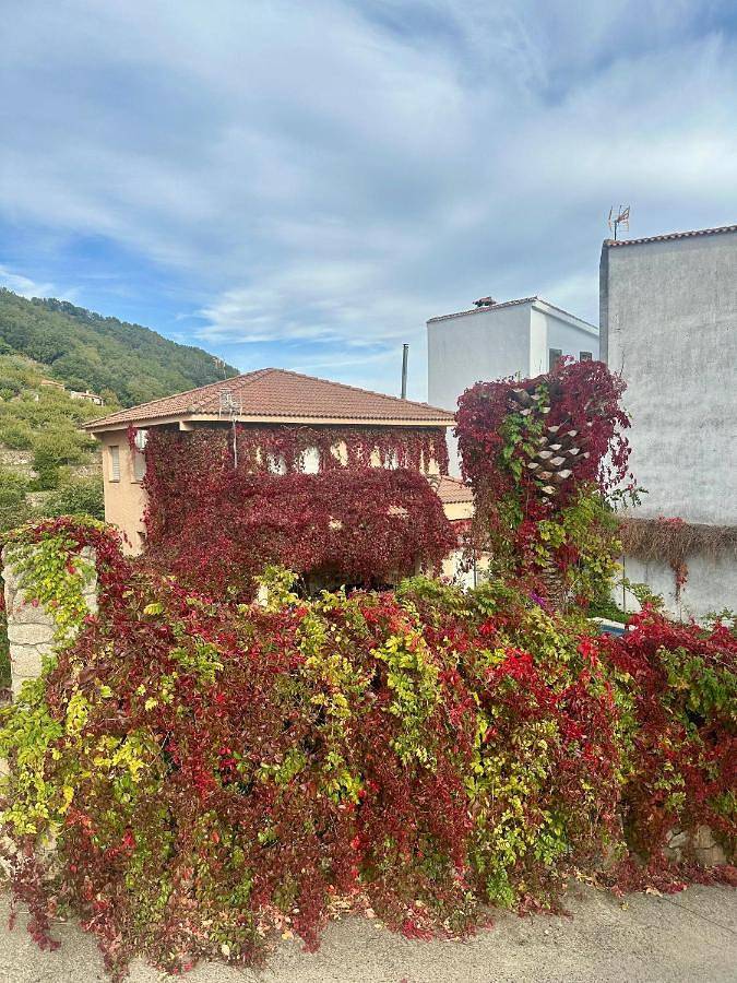 Casa rural para 7 personas, con jacuzzi además de jardín y piscina, Familias con niños en El Torno