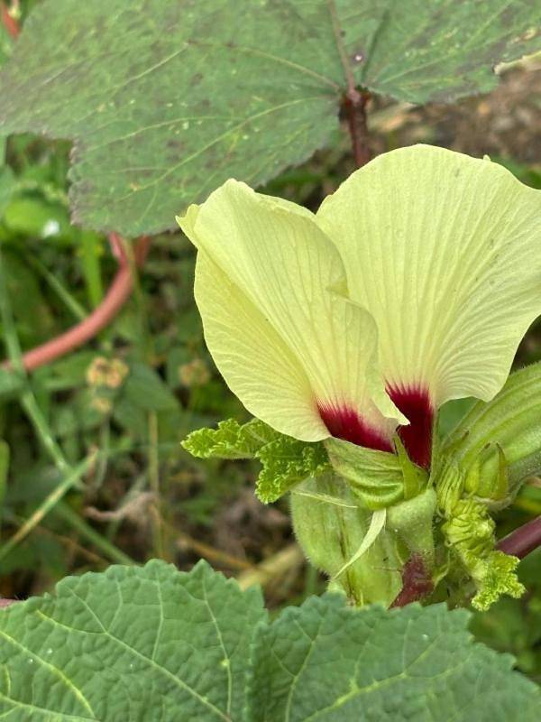 Appartement de vacances pour 4 personnes, avec jardin ainsi que terrasse et vue