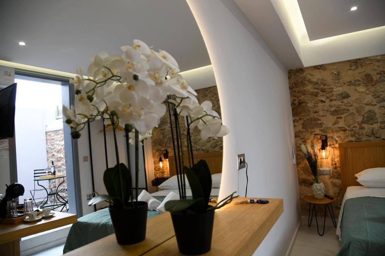 Deluxe Double Room in Section centrale d'Athènes, Athènes