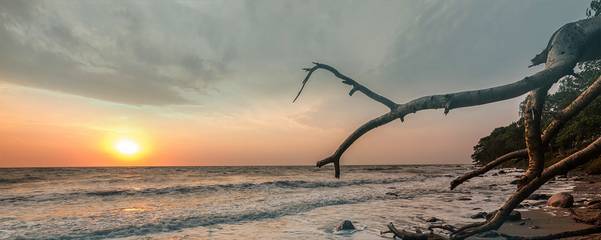 Ferienwohnung für 4 Personen, mit Balkon und Garten auf Fehmarn