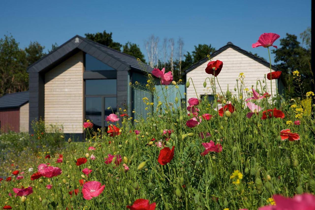 Bio-Seehotel Chalets in Zeulenroda-Triebes, Region Greiz
