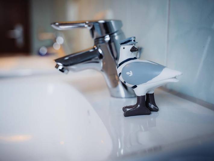 Gîte pour 6 personnes, avec jardin et sauna, animaux acceptés à Oppenau - 3