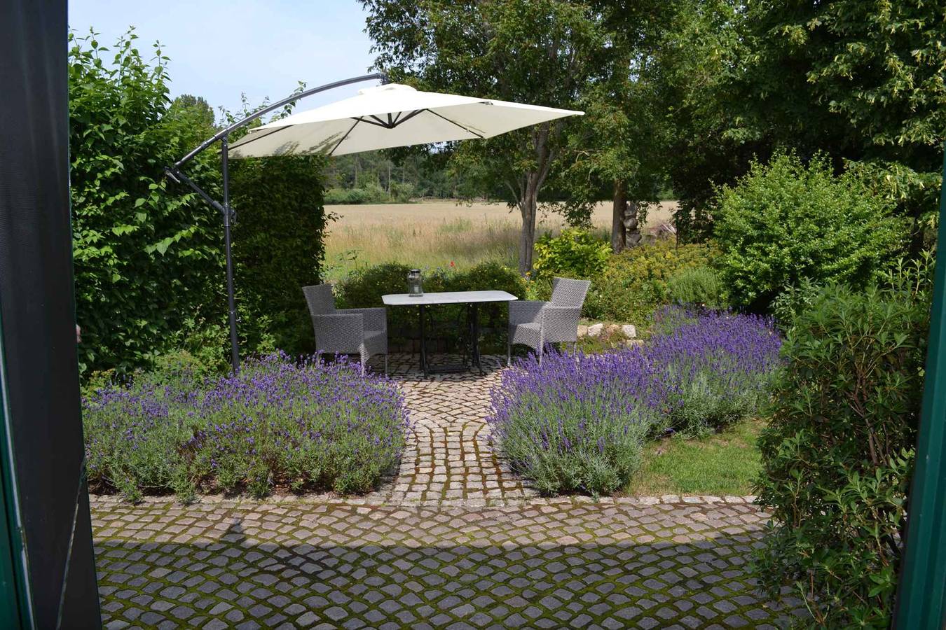 Ganze Ferienwohnung, Ferienwohnung in der Natur mit Terrasse in Sehlen, Bergen auf Rügen und Umgebung