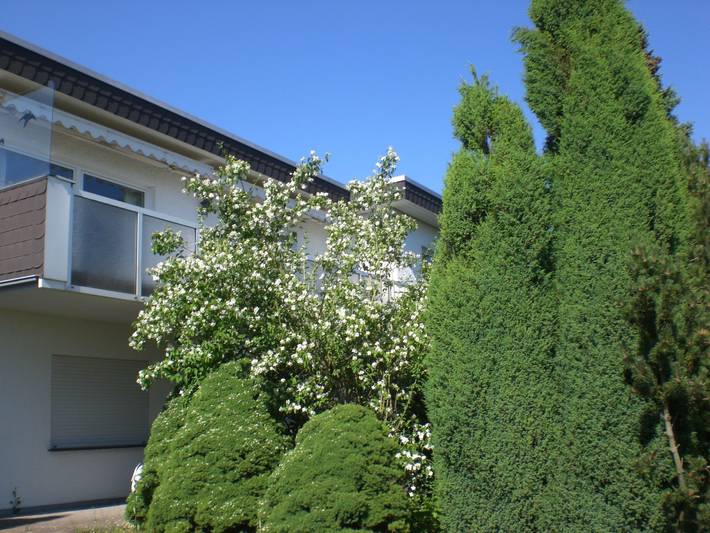 Ganze Wohnung, Ambiente in Homberg ot Welferode in Homberg, Schwalm-Eder-Kreis