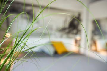 Ferienwohnung für 3 Personen in Dahme, Südliche Ostseeküste, Bild 4