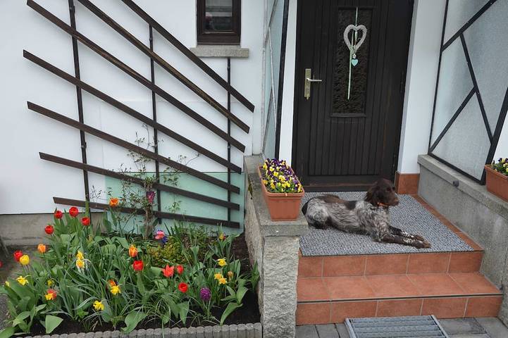 Ferienwohnung für 4 Personen, mit Garten, mit Haustier in Sorge - 4