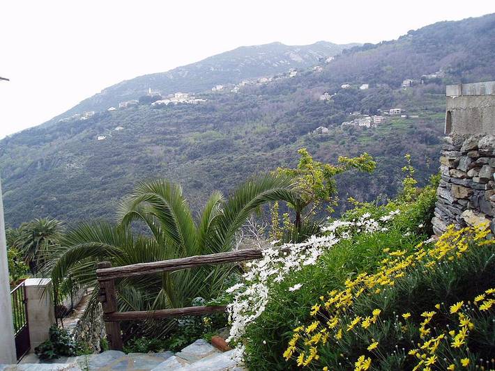 Chambre d’hôte pour 3 personnes, animaux acceptés en Corse - 3