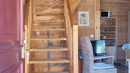 Ferienhaus für 5 Personen in Klink, Müritz, Bild 3