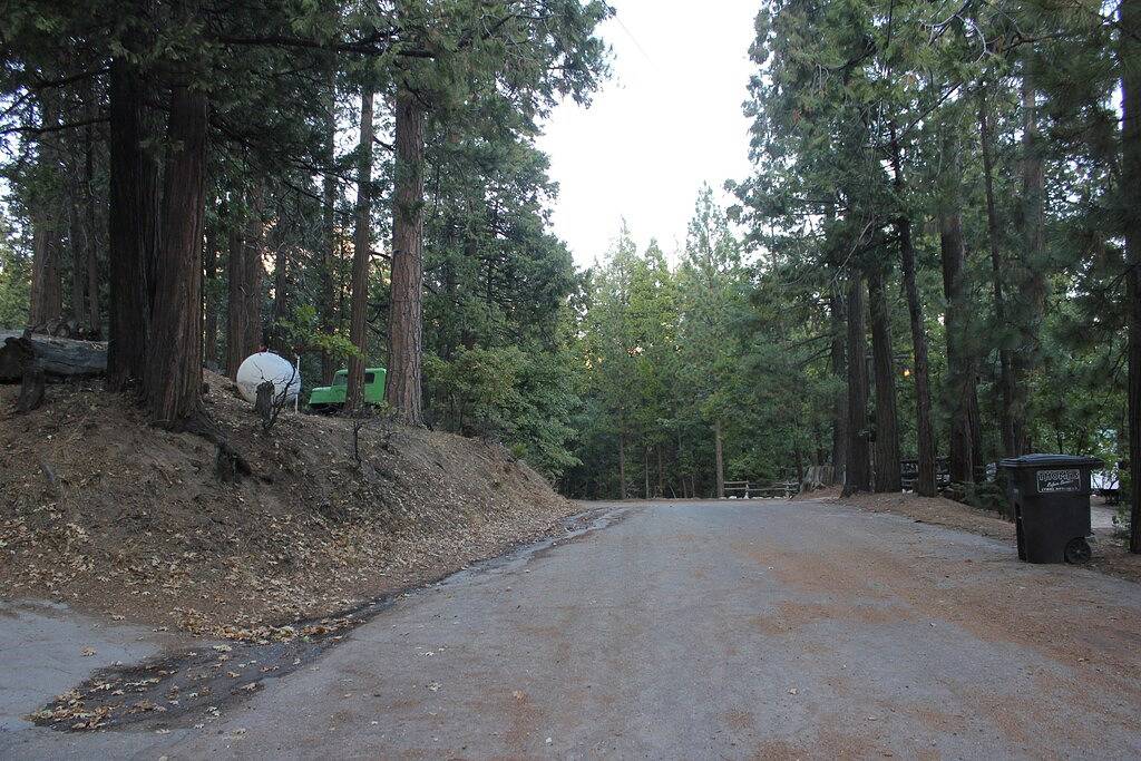 Sequoia Forest Cabin—Lake & River—Ski, Raft, Hike, Bike and More in Sequoia National Park