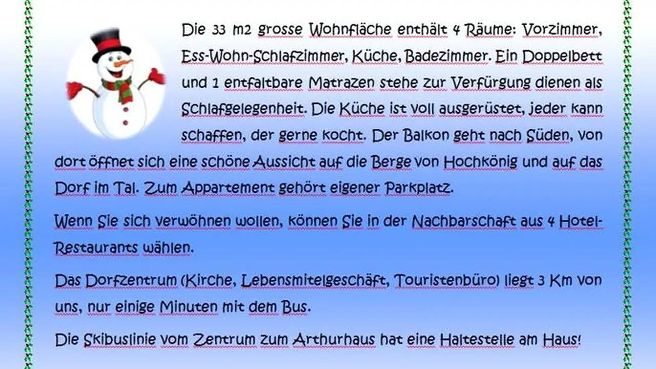Ganze Ferienwohnung, Ferienwohnung für 3 Personen (33 m²) in Mühlbach am Hochkönig in Hochkönigstock, Mühlbach am Hochkönig
