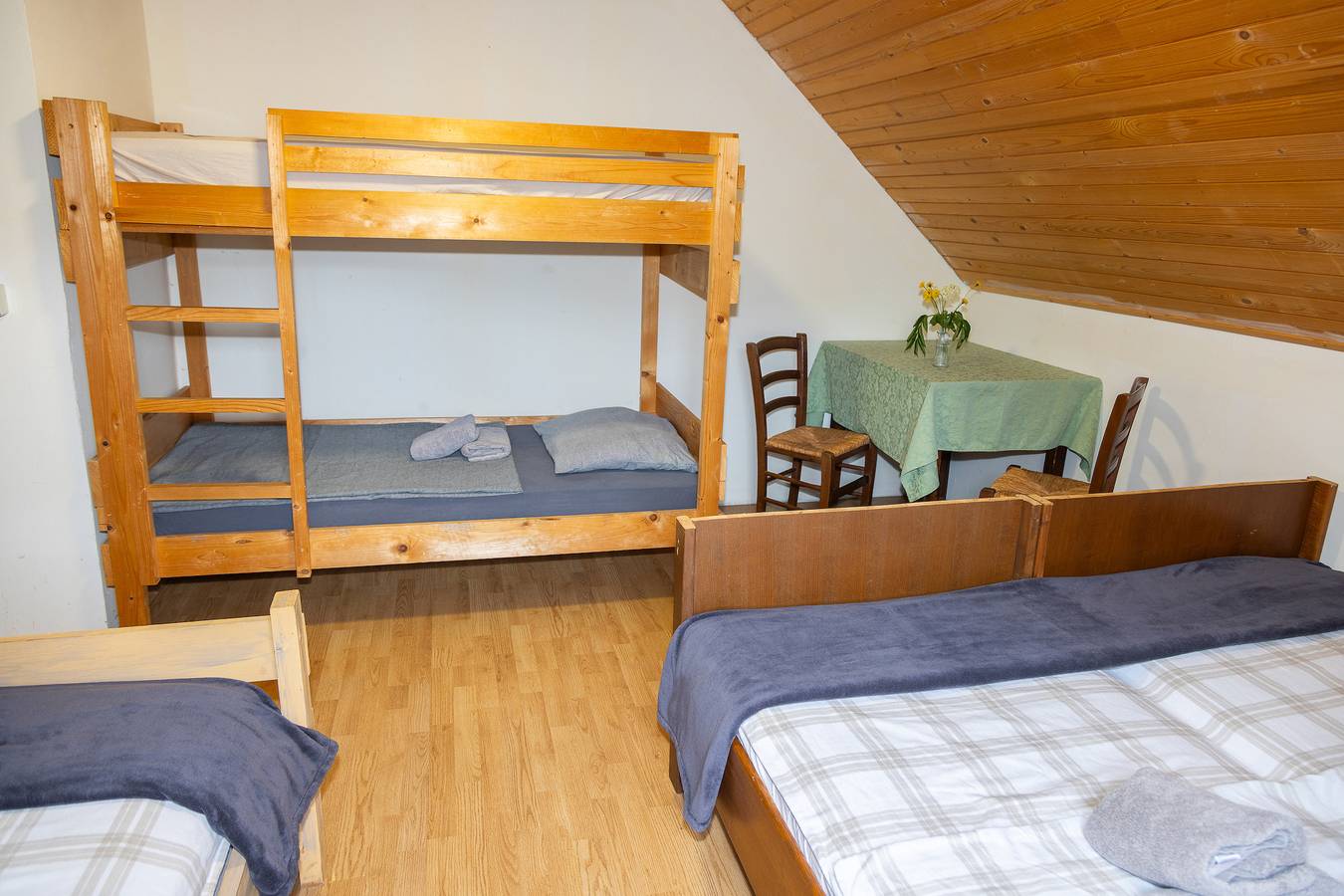 Goška Ravan Family Room near Bled in Radovljica, Carniola