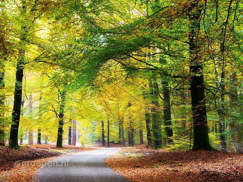 Groepsaccommodatie Putten in Putten, Veluwe