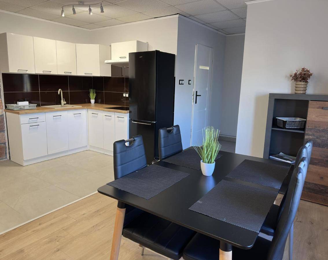 Cały apartament, Studio Apartment in Sanok, Karpaty (Polska)