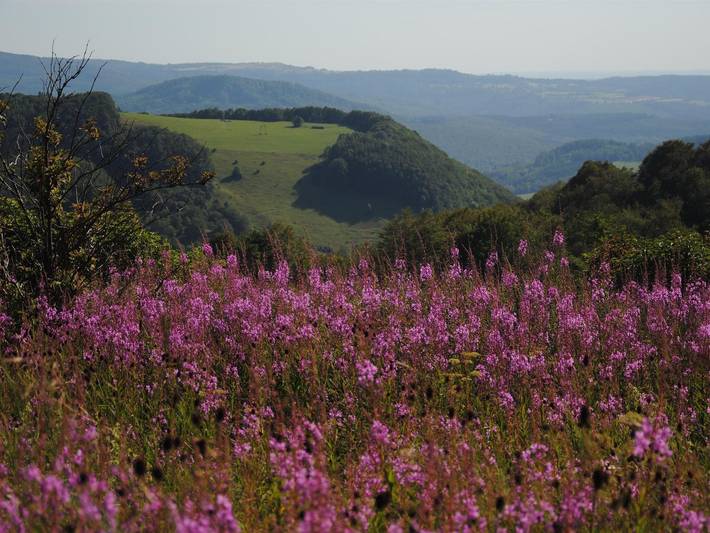 Ferienwohnung für 2 Personen, mit Balkon, kinderfreundlich in Gersfeld - 4
