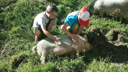 Ferienwohnung für 5 Personen in Krummen, Isny im Allgäu, Bild 4