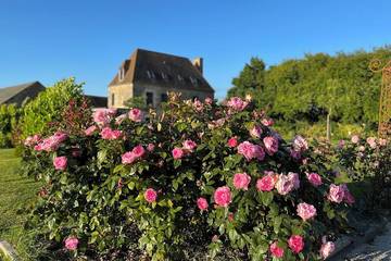 Gîte pour 11 personnes, avec terrasse ainsi que piscine et jardin à Semallé