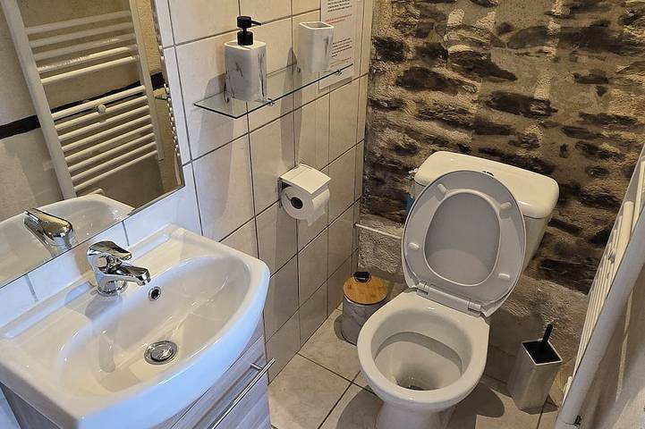 Auvergne country house 15 kms from the medieval village of Conques in Vieillevie, Región de Aurillac