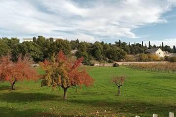 Location de vacances pour 4 personnes, avec jardin et vue à Selva di Fasano
