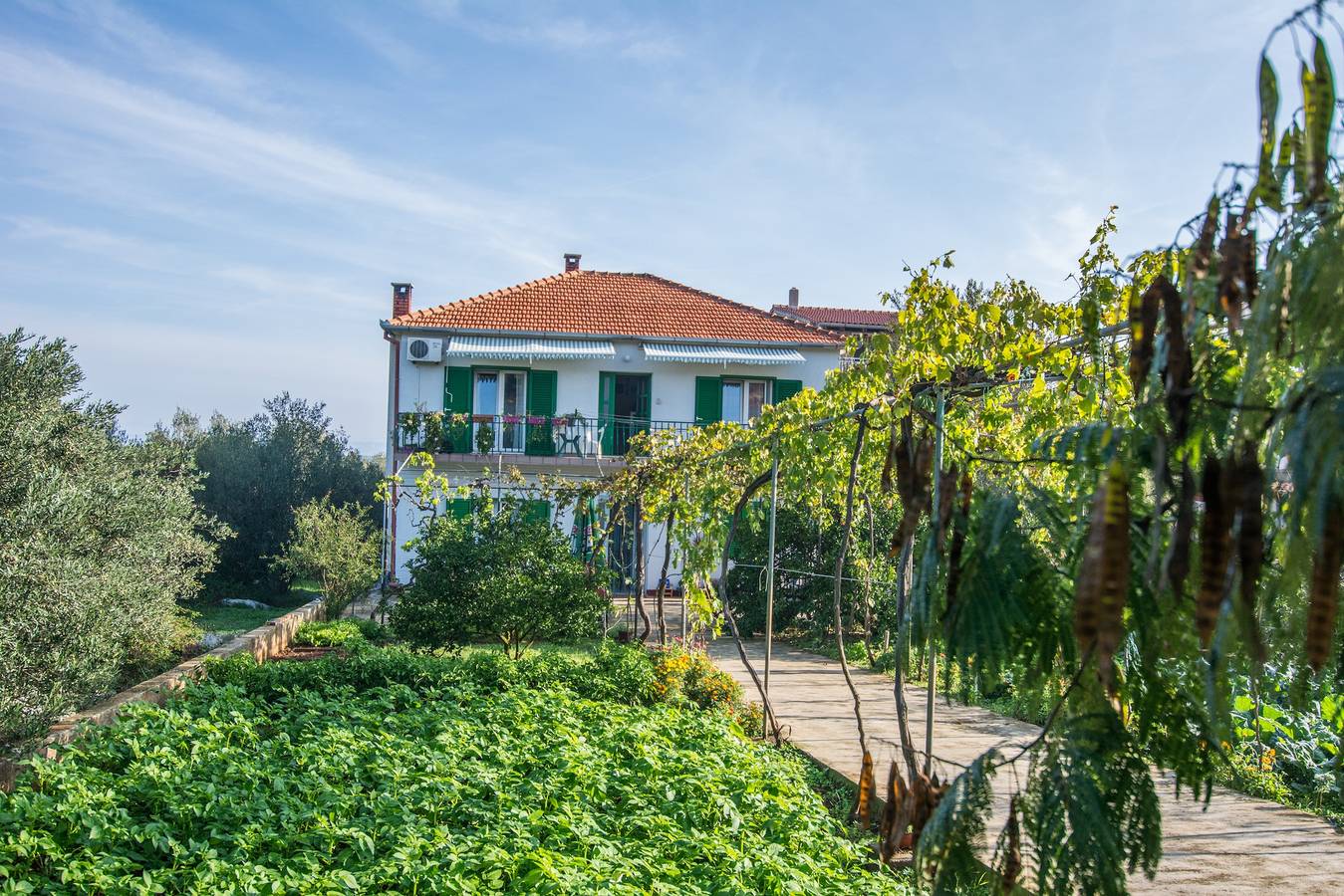 Ganze Wohnung, 3-Zimmer-Ferienwohnung mit Balkon Kraj, Pasman A-8457-a in Ugrinici, Tkon