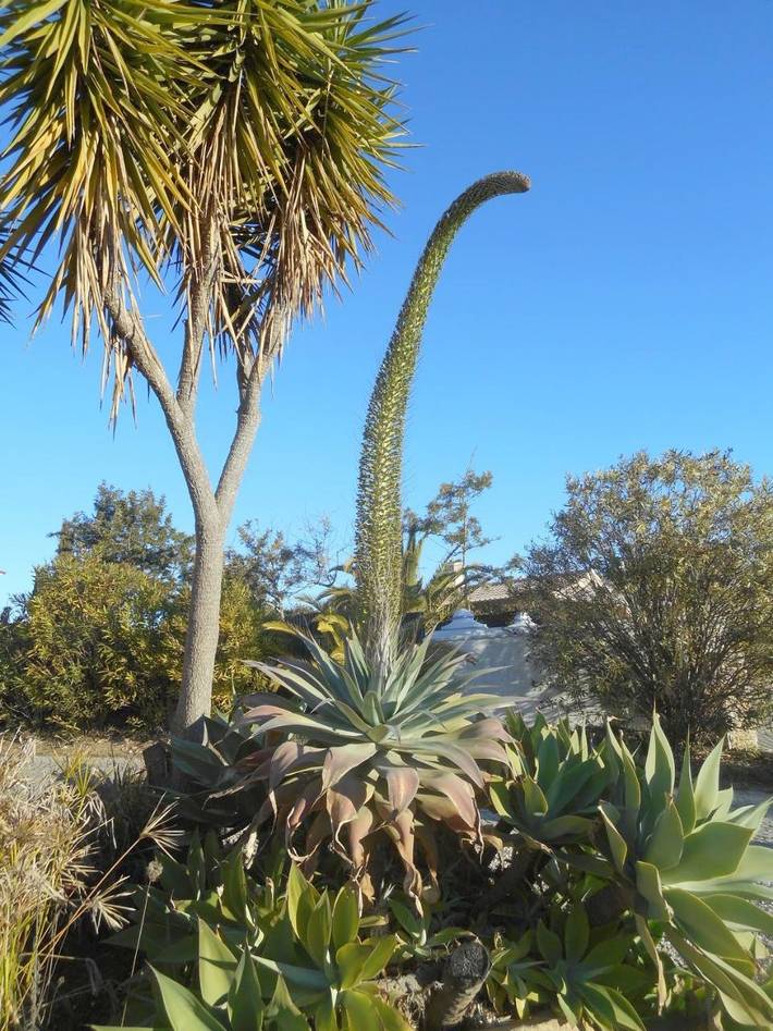Ferienhaus mit Meerblick für 6 Personen, mit Garten und Whirlpool in Lagos - 2