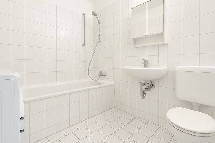 Ganze Wohnung, Apartment Halle Neustadt – 3 Zimmer, Küche in Halle, Saale-Unstrut