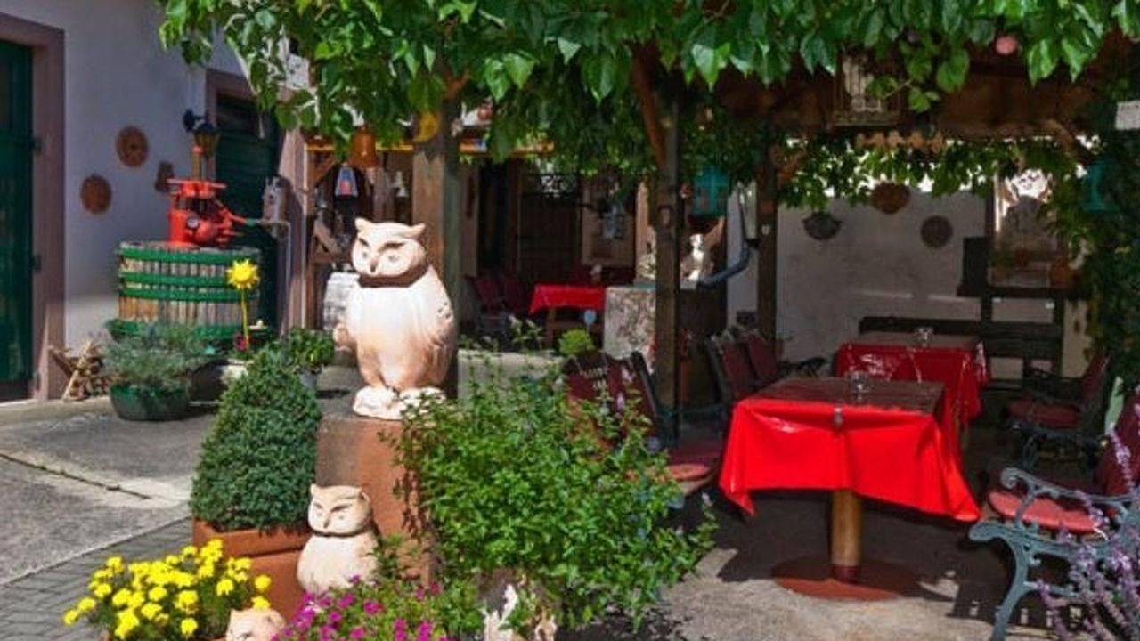 Ganze Ferienwohnung, Ferienwohnung für 4 Personen (75 m²) in Minheim in Minheim, Bernkastel-Kues & Umgebung