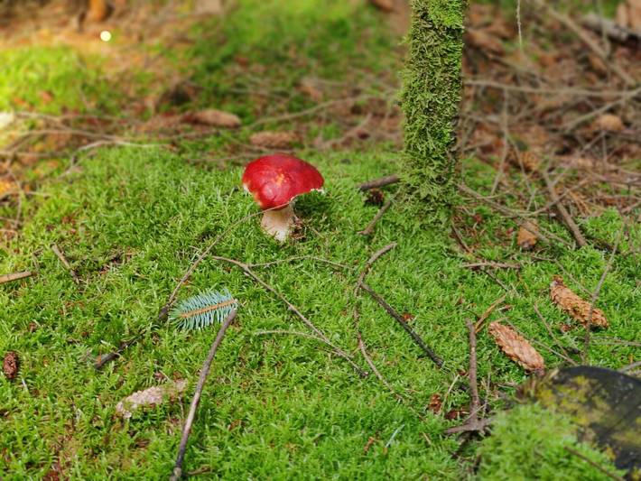8 Personen Ferienhaus in Ålbæk in Lodskovvad, Ålbæk