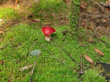 Feriehus til 8 Personer i Lodskovvad, Ålbæk, Bilde 4