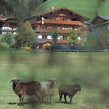 Ferienhaus für 4 Personen, mit Sauna und Garten sowie Terrasse, mit Haustier in Innervillgraten