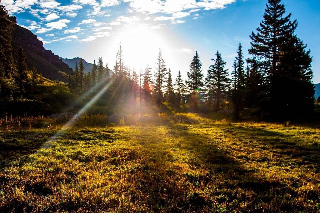 Ganze Wohnung, Stellare Lage! Schritte zum Ski Access @ Base von Lift 10 & 1, Kamin, Endgerät mit Deck & Mtn Views! in Mountain Village, Telluride Ski Resort