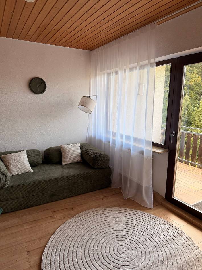 Ganze Wohnung, Moderne 2-Zimmer-Ferienwohnungen Triberg in Triberg, Südschwarzwald