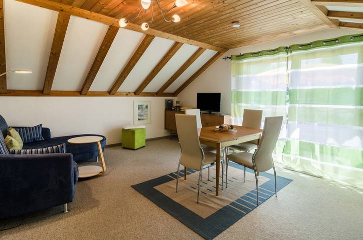 Ganze Wohnung, Ferienwohnung "Säntisblick" mit schönem Blick auf den Bodensee und die Alpen in Daisendorf, Region Bodensee-Oberschwaben