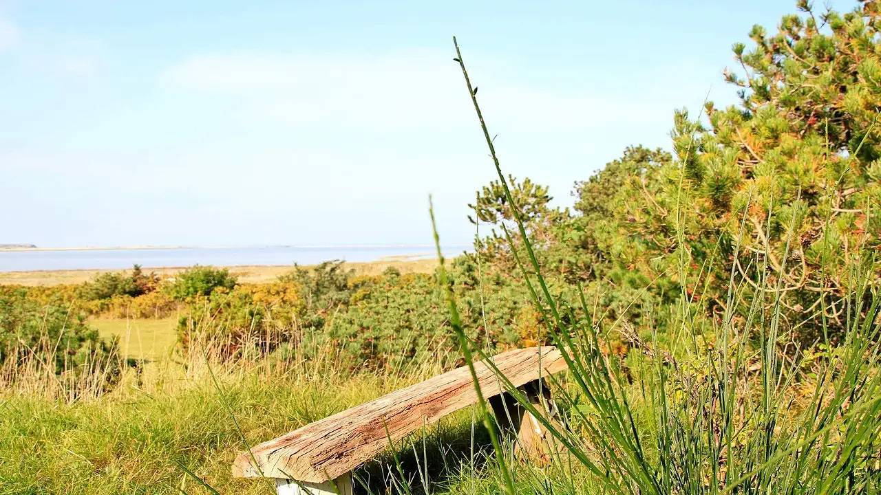 Ferienhaus für 4 Personen (55 m²) in Martofte in Fyns Hoved, Martofte