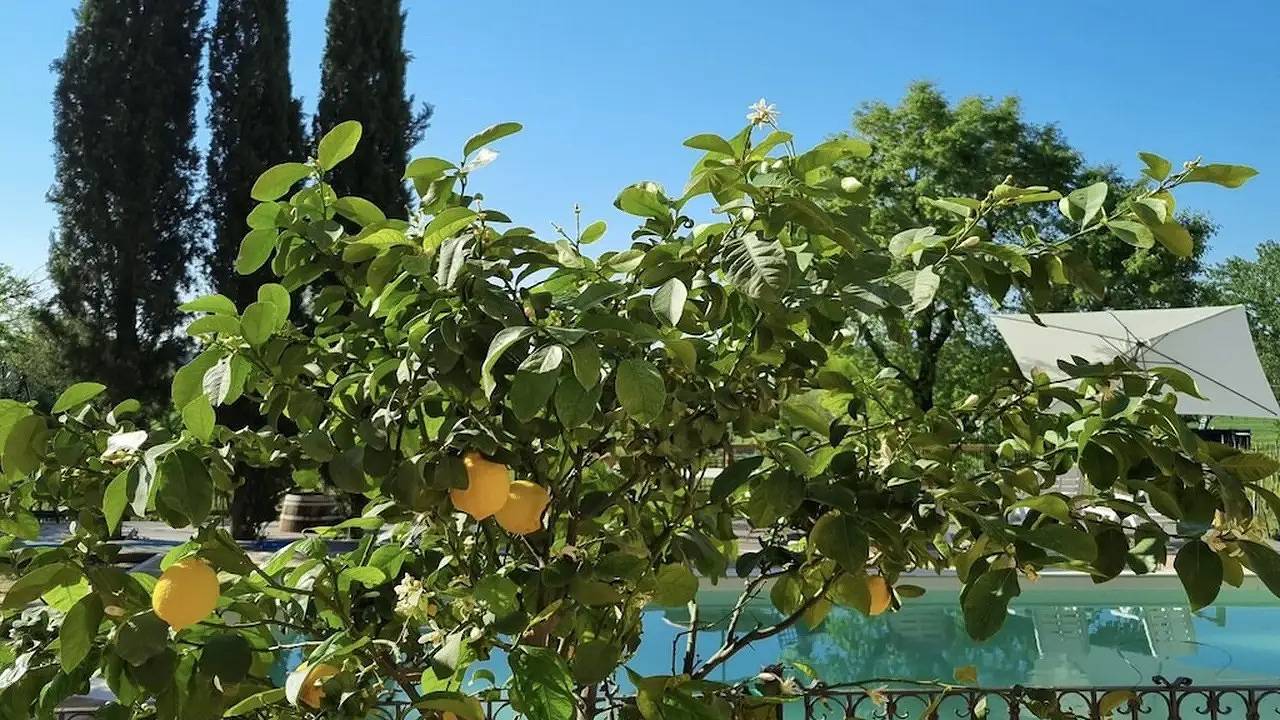 Holiday home for 6 people in Montepulciano, Chianti