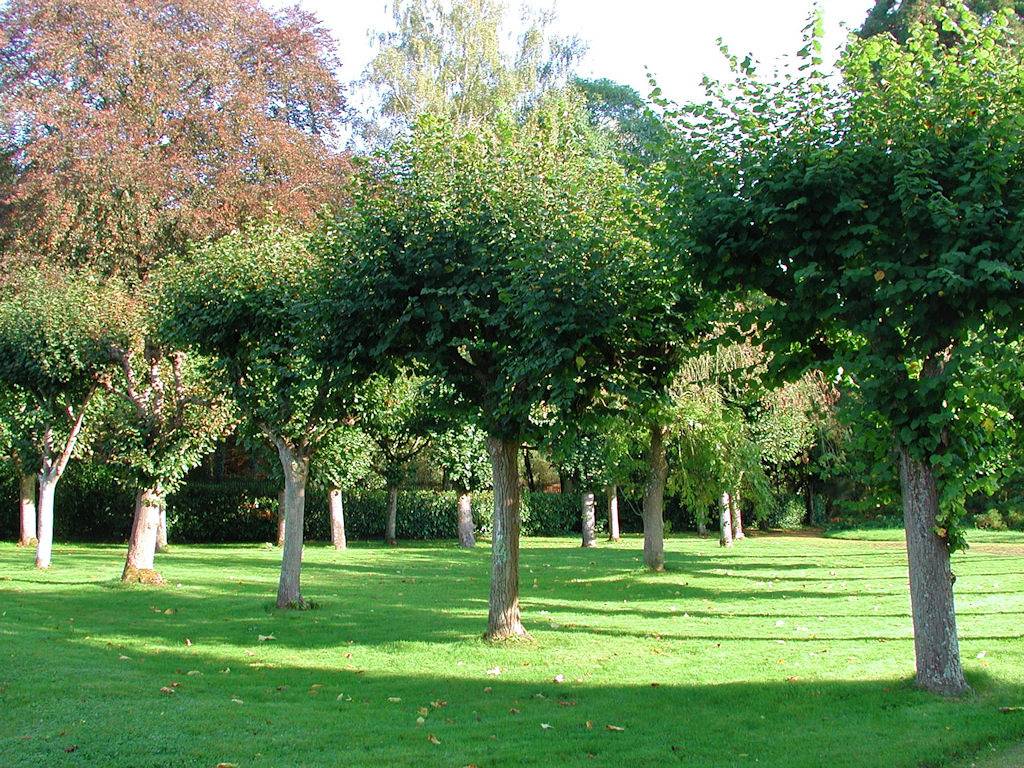 Manoir Le Pont Chevalier in Cuise-la-Motte, Oise