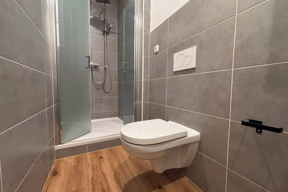 Ganze Wohnung, Luxuriöses 1 Zimmer Appartement mitten im Herzen Bambergs in Bamberg, Fränkisches Weinland