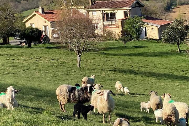 Gîte pour 2 personnes à Louslitges