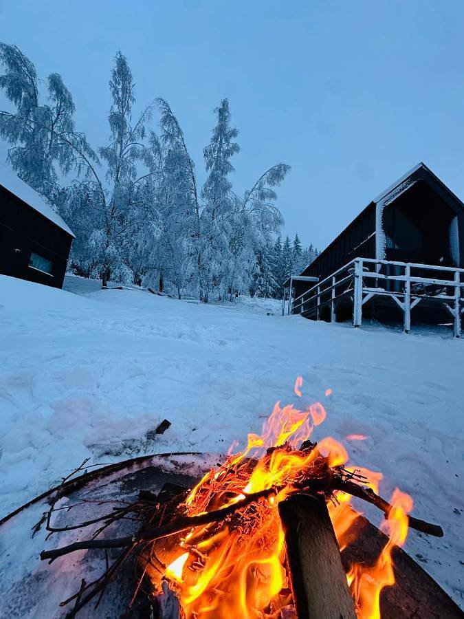 Black Hills Czarna Góra / Bike ^ Ski in Sienna Czarna Góra, Sudety (Polska)