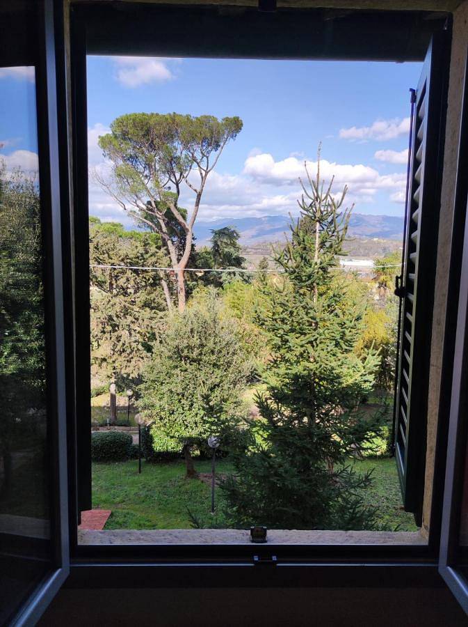 Single Room in Montevarchi, Valdarno