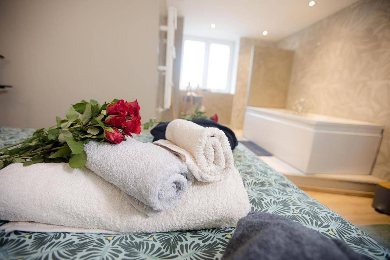 Appartement entier, Odyssee l'expérience commence ici Jacuzzi in Saint-Jean-Bonnefonds, Parc Naturel Régional du Pilat