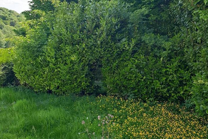 Location de vacances pour 4 personnes, avec terrasse ainsi que jacuzzi et sauna, animaux acceptés dans Savignies