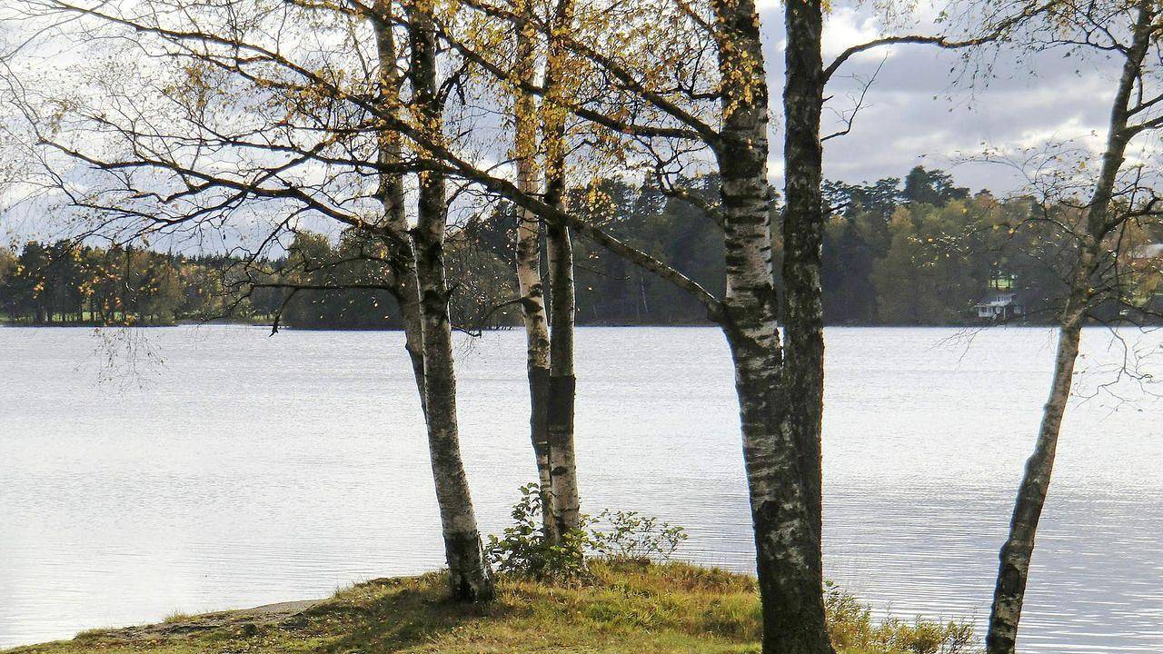 Ferienhaus für 4 Personen (40 m²) in Unnaryd in Hylte, Bolmen